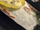 Strumpfbandnatter Babys zu verkaufen