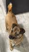 Wally- Traurige Mini-Wally sucht neue Familie